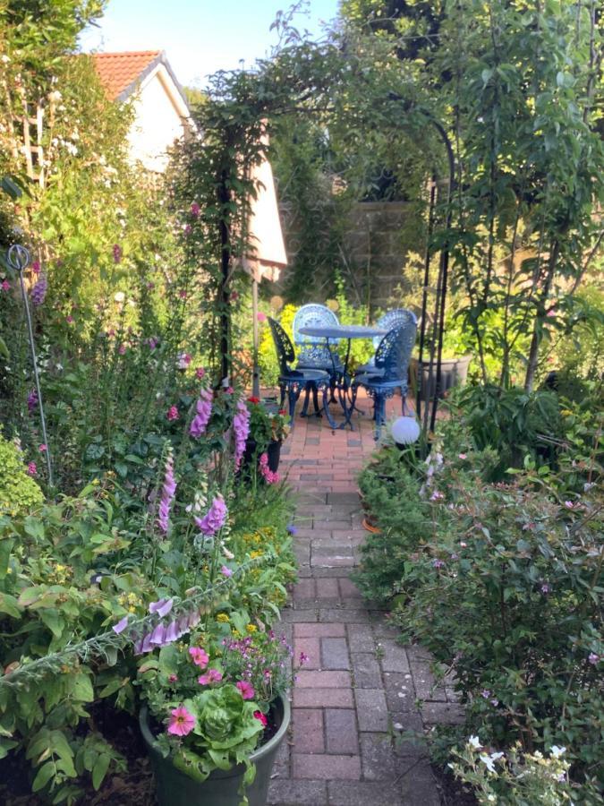 Garden Weston-super-Mare